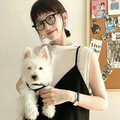 天鹅公主的圣诞节